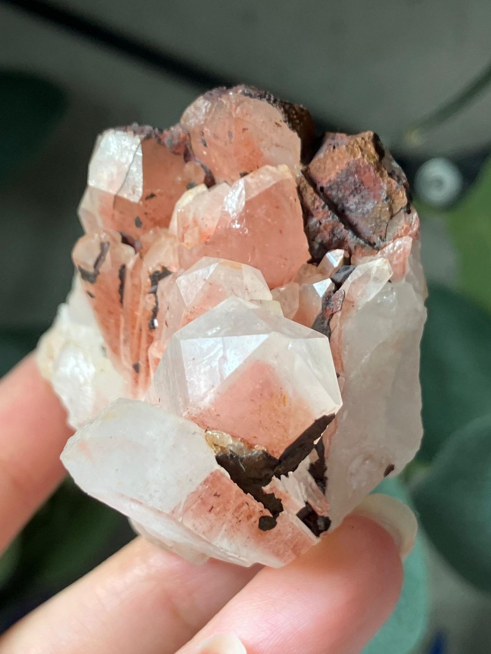 Mineralien & Heilsteine: Roter Quarz-Cluster (Gruppe) – Neu (gemäss Beschreibung) aus Neuheim von m.hald 2