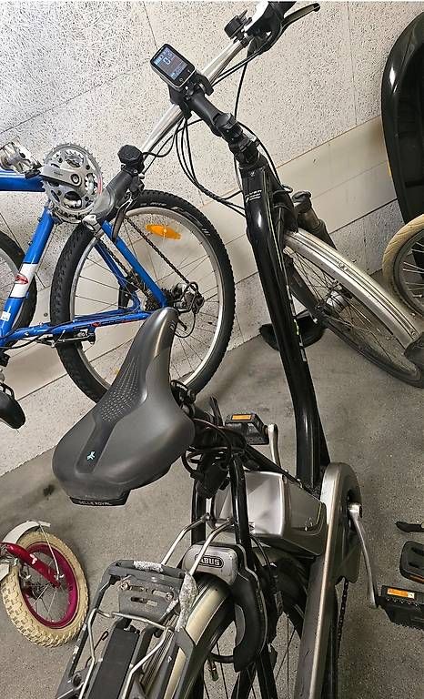 Velos: Flyer e-Bike Next Generation Flyer e-Bike Next Generation – Gebraucht aus Kriens von atlas2014 2
