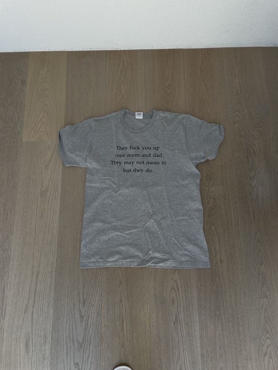 Supreme T-Shirts: Supreme T-Shirt Grau mit Spruch, Grösse L – Gebraucht aus Birmensdorf ZH von nin.am