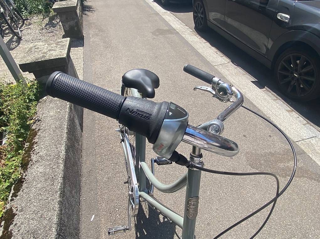 Velos: Pelago Brooklyn  – Gebraucht aus Zürich von Ricarda12345 2