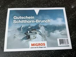 Migros Aare-Sammelspass  SCHILTHORN PIZ GLORIA