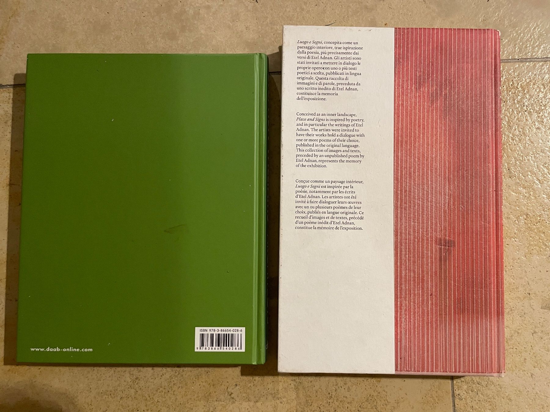 Libri: Architektur & Kunst Buch-Set: Stephen Williams / Luogo e Seg – Usato da Zürich venduto da joh_89d8 1