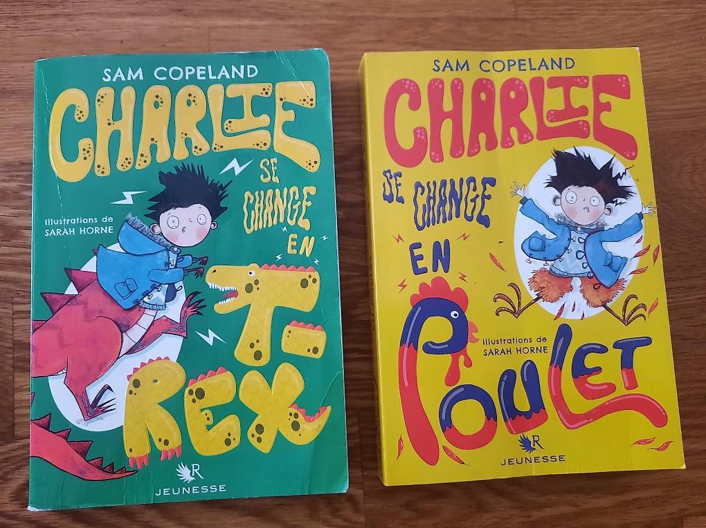 Libri: Lot de livres préado – Usato da Sierre venduto da babibouchette01
