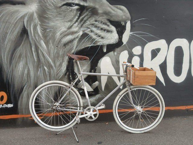 Fixie Inc. Biciclette: FIXIE grau, EINZELSTÜCK - 28 Zoll - HINGUCKER – Usato da Hagendorn venduto da zwilling8888 2