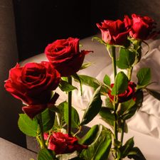 Profile image of pri_87qf
