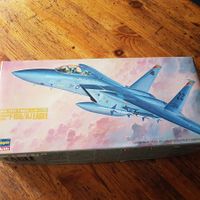 Hasegawa 1/72 MDD F-15D/DJ Eagle