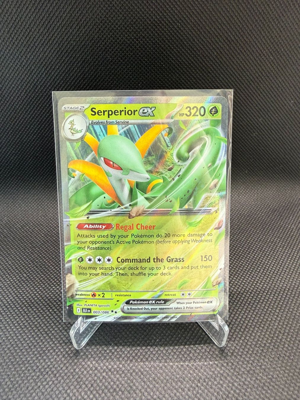 Pokémon Carte collezionabili: Pokemon Black Bolt Serperior ex 003/086 – Usato da Horn venduto da Chilldone