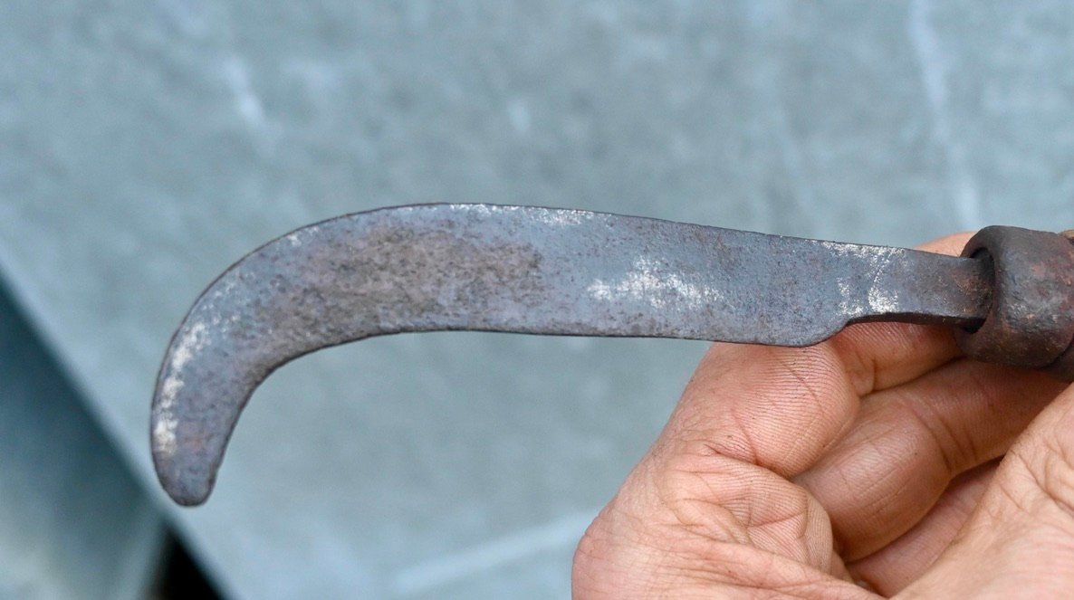 Tutti gli attrezzi: ANTIKE Handsichel Länge ca. 22cm – Usato da Pfaffhausen venduto da mono_rec 6