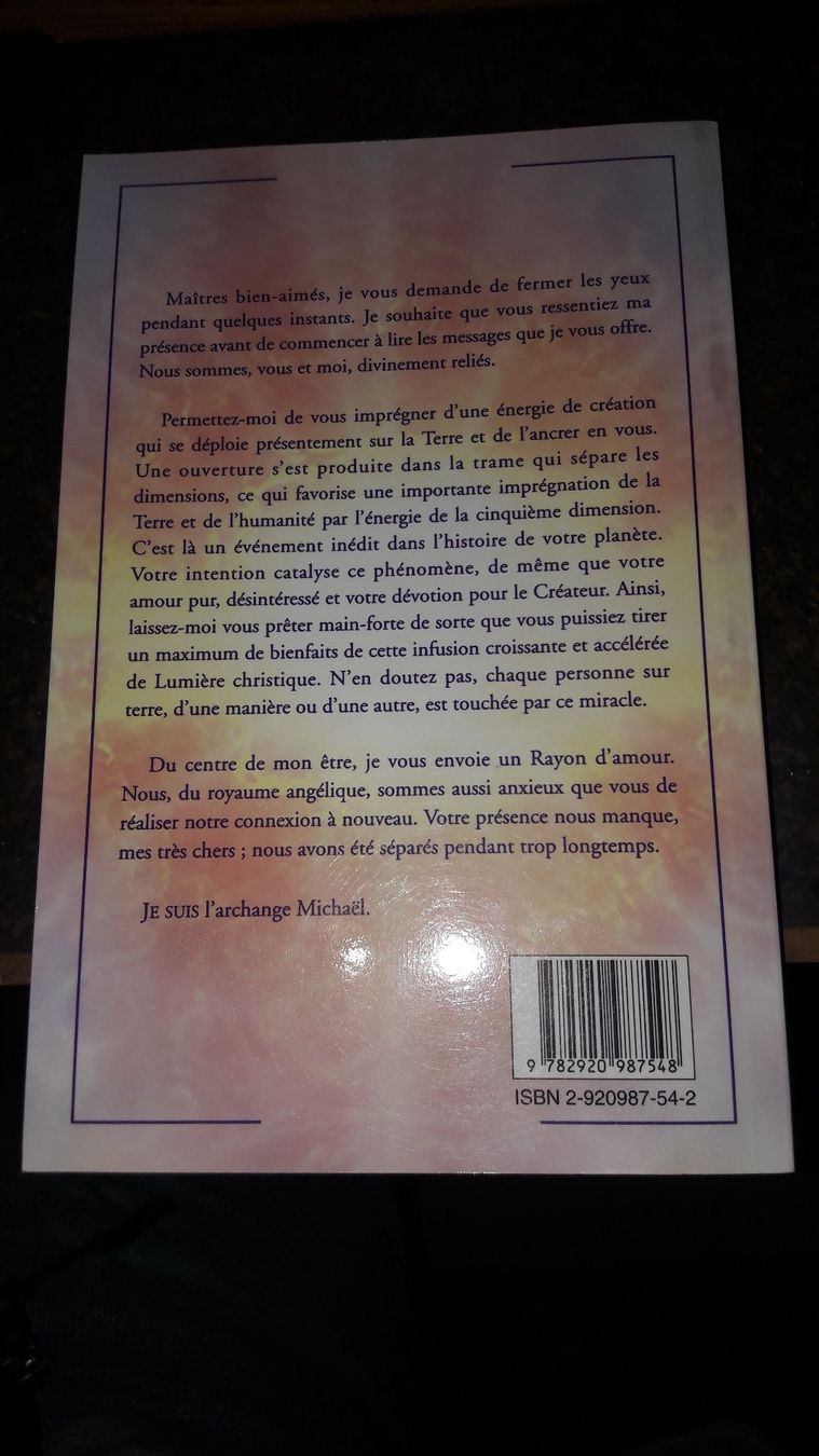 Libri: Le futur est maintenant, tome 2 – Usato da Laufen venduto da Mann455 2