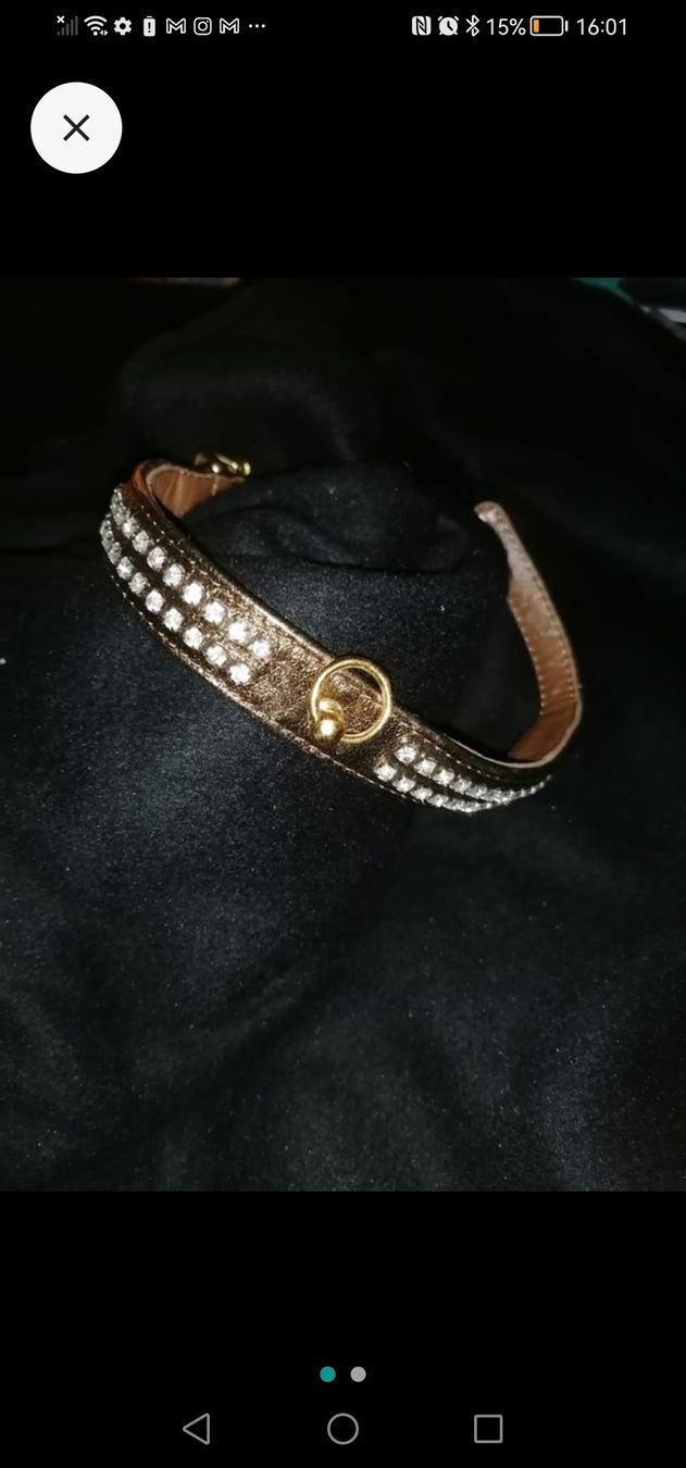 Leine & Halsband: 2 stk. Hundehalsbänder  Leder shimmer  und eins Schwarz – Gebraucht aus Birrwil von inf_2qrx