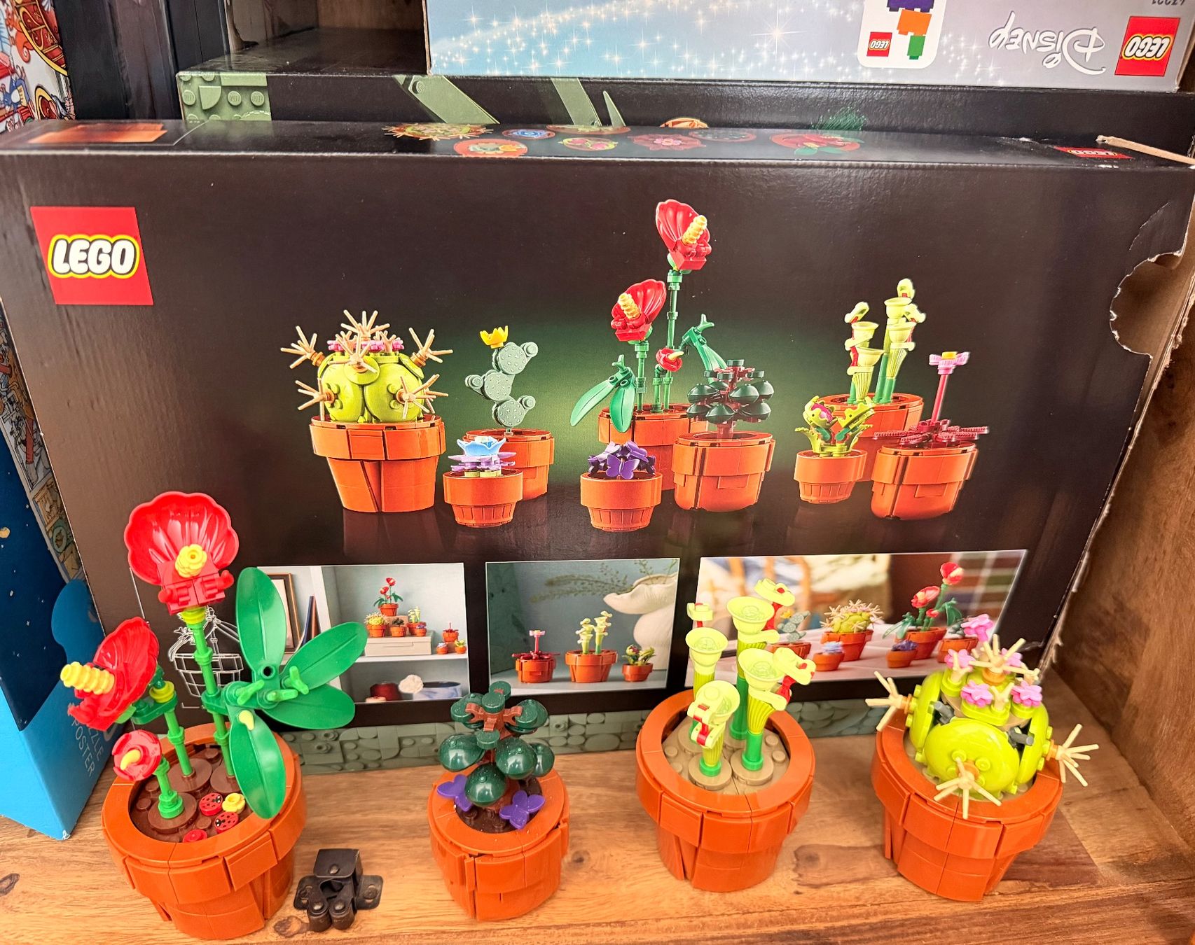 Lego Baukästen: Lego Botanicals Tiny Plants – Neu (gemäss Beschreibung) aus Zug von mcm.v.i 1