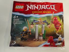 LEGO, Ninjago, Dragons Rising, original verschweisst, 30650