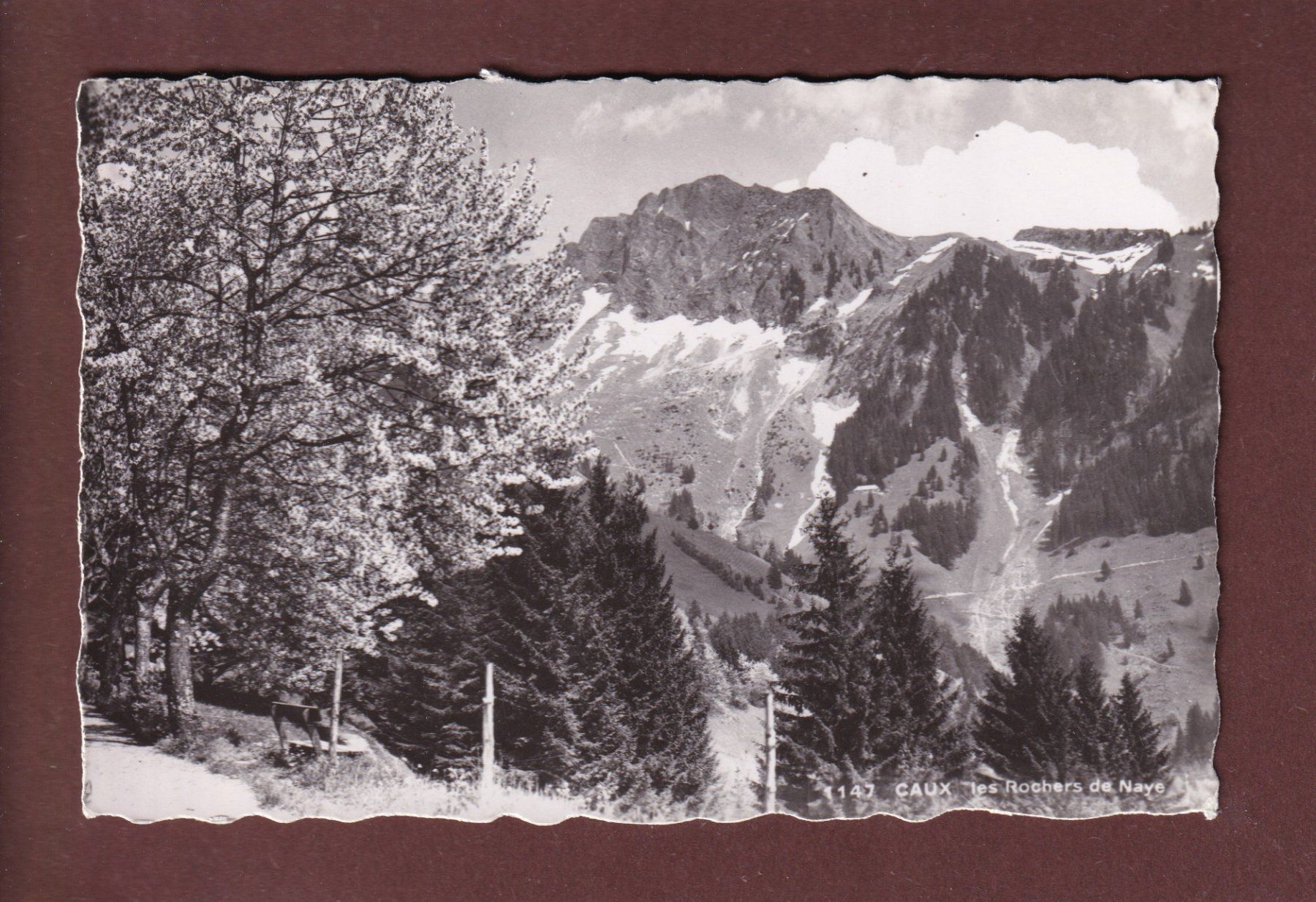 Cartoline postali: CAUX - Rochers de Naye - 1945 – Usato da Pully venduto da nicecards