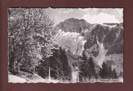 CAUX - Rochers de Naye - 1945