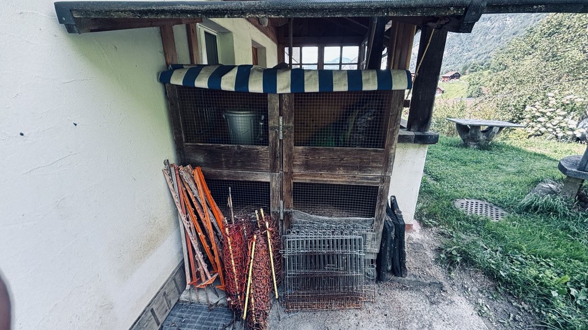 Gabbie, trasporto & Sicurezza: Kleintierstall aus Holz – Usato da Flüelen venduto da Sinfanger 3