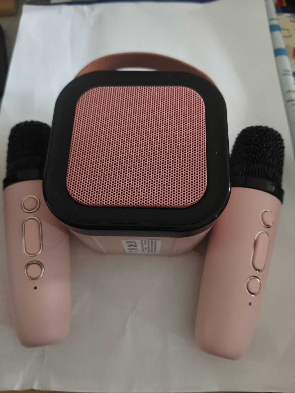 Casse acustiche: Mini Bluetooth Karaoke Lautsprecher mit 2 Mikrofonen  – Usato da Zürich venduto da tweetys78 1