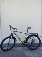 Mountainbike / Allrounder