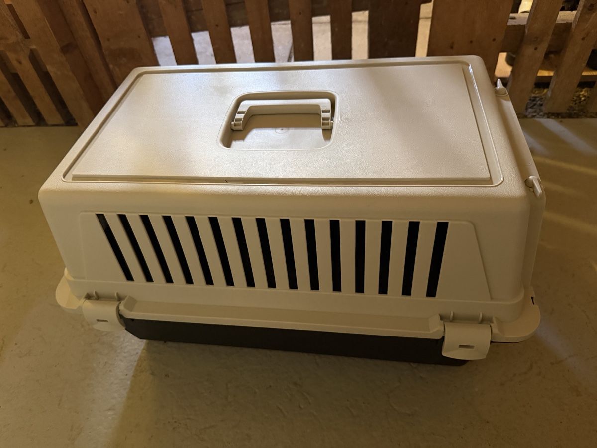 Gabbie, trasporto & Sicurezza: Transportbox Katze Kunststoff / gut erhalten – Usato da Meilen venduto da ine_s9tf 1