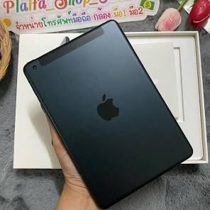 Apple Tablet PC: Airpad Mini – Gebraucht aus Männedorf von m.lutz