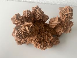 Sandrose