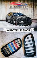 BMW F10 F11 F18 Nieren, M Doppelspeichen mit M5 Emblem 5 er