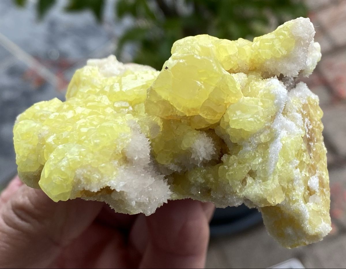 Minerali & Pietre curative: Schönes Stück Schwefel  – Usato da Selzach venduto da 321compac 3