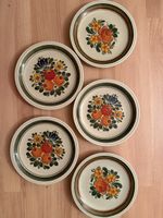 Vintage Teller Set Röslau 5 Stk. Blumenmuster guter Zustand