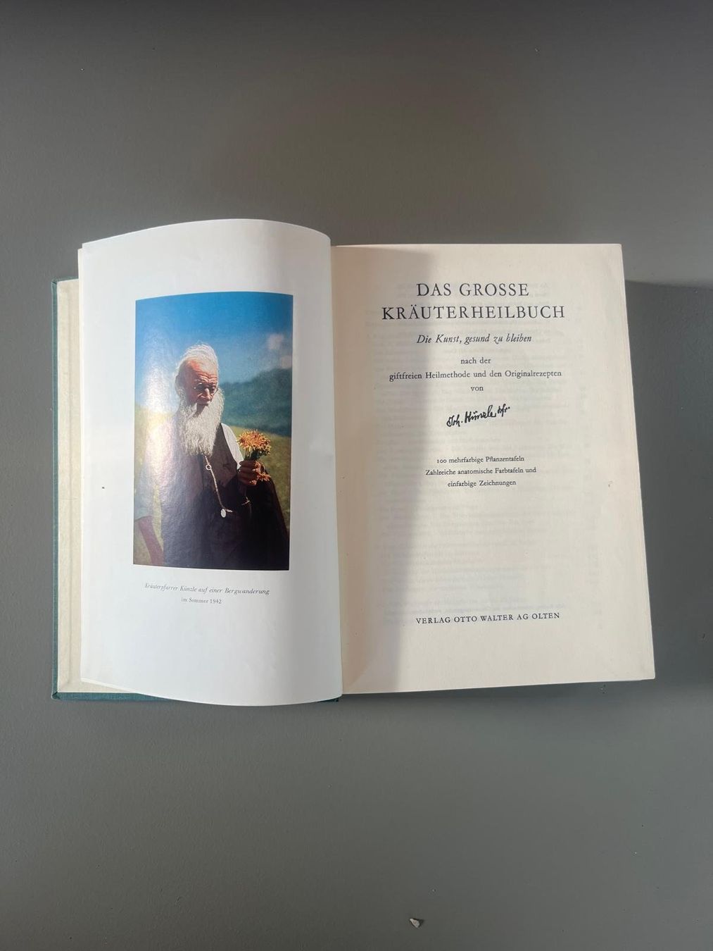 Libri: Das grosse Kräuterheilbuch – Usato da Basel venduto da SinaVa 1