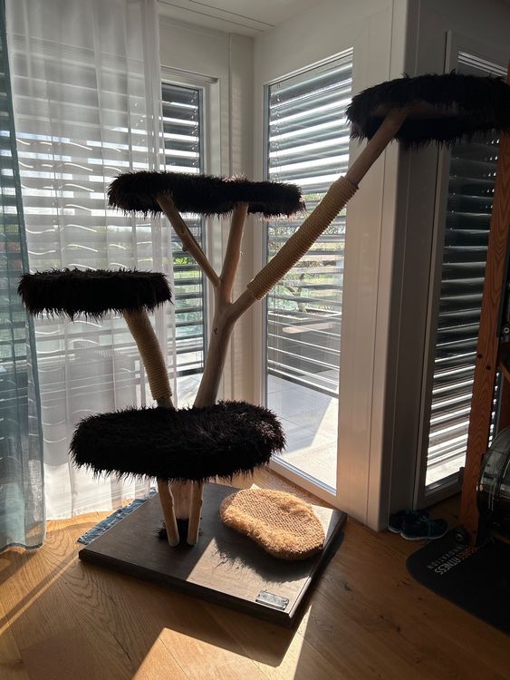 Wunderschne Kratzbaum Stark Reduziert Fotos