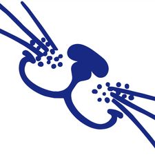 Profile image of Stupsnase.ch