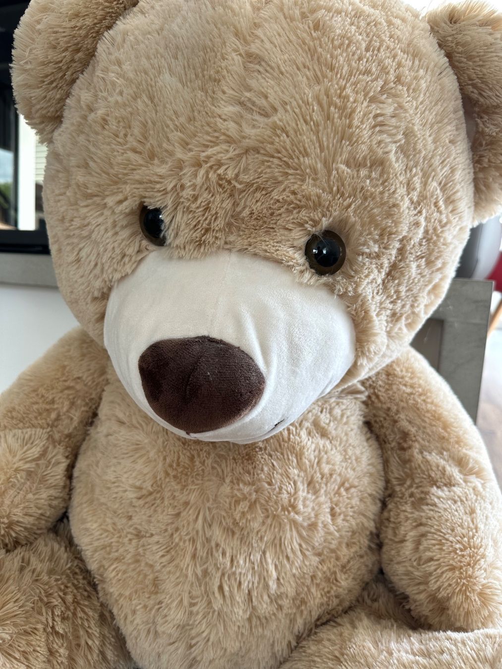 Giocattoli: Grosser Teddybär sucht neues Zuhause – Usato da Wigoltingen venduto da Sashpa 3