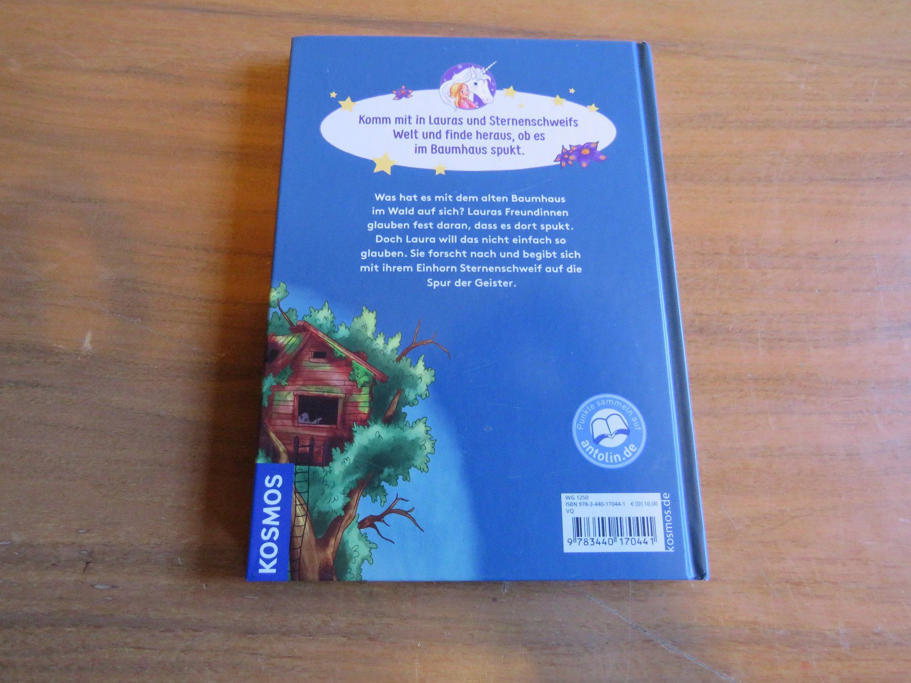Libri: schönes Sternenschweif Buch – Usato da Luthern venduto da floluli 1
