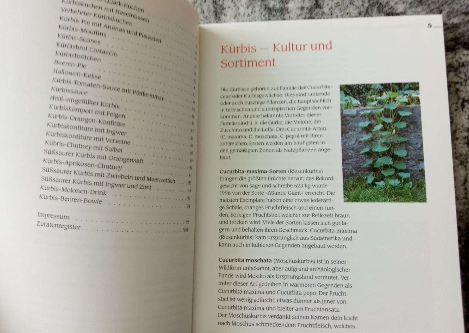 Bücher: Köstlichkeiten mit Kürbis – Gebraucht aus Chur von Nisami 3
