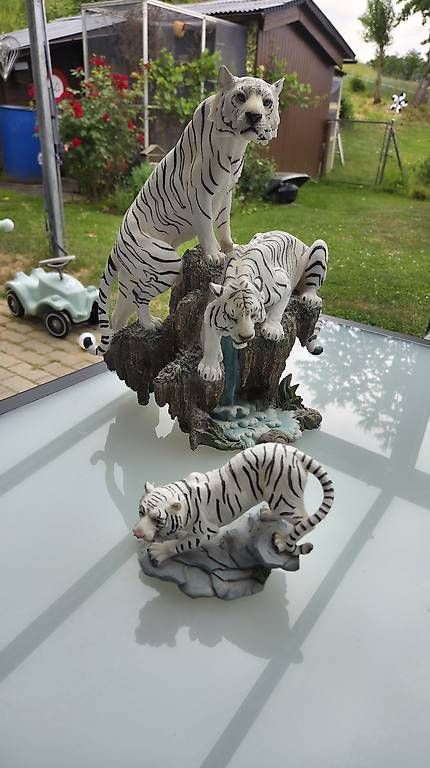 Toutes les machines: Weiße Tiger : 2  – D'occasion à Pfaffnau par Hawaiano
