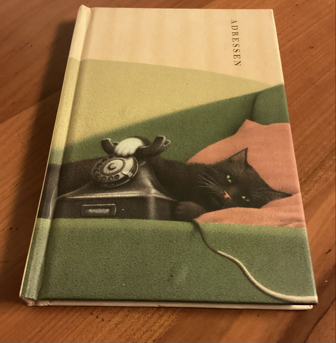 Libri: Nero Corleone Adressbüchli – Usato da Niederlenz venduto da lil_jxk8