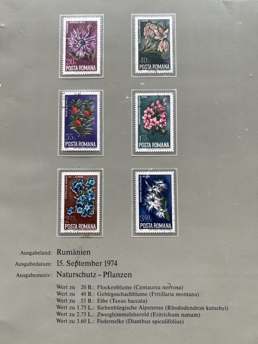 Tutti i francobolli: Briefmarken Rumänien  – Usato da Glattbrugg venduto da Artos67