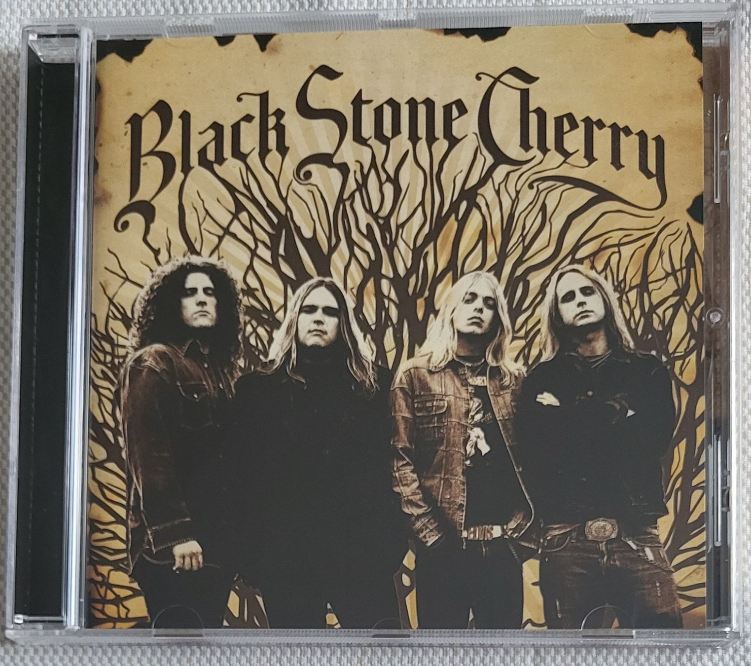CDs: Black Stone Cherry – Gebraucht aus Villars-sur-glane von Epsilonhike
