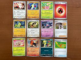 Pokemon 12er Karten Set (Versand gratis)