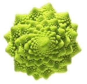 Piante & sementi: CHOU FLEUR ROMANESCO  100g – Nuovo (secondo la descrizione) da Bremblens venduto da FIBONACCI369