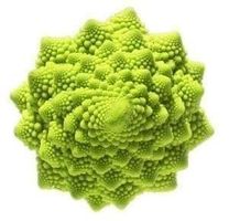 CHOU FLEUR ROMANESCO  100g
