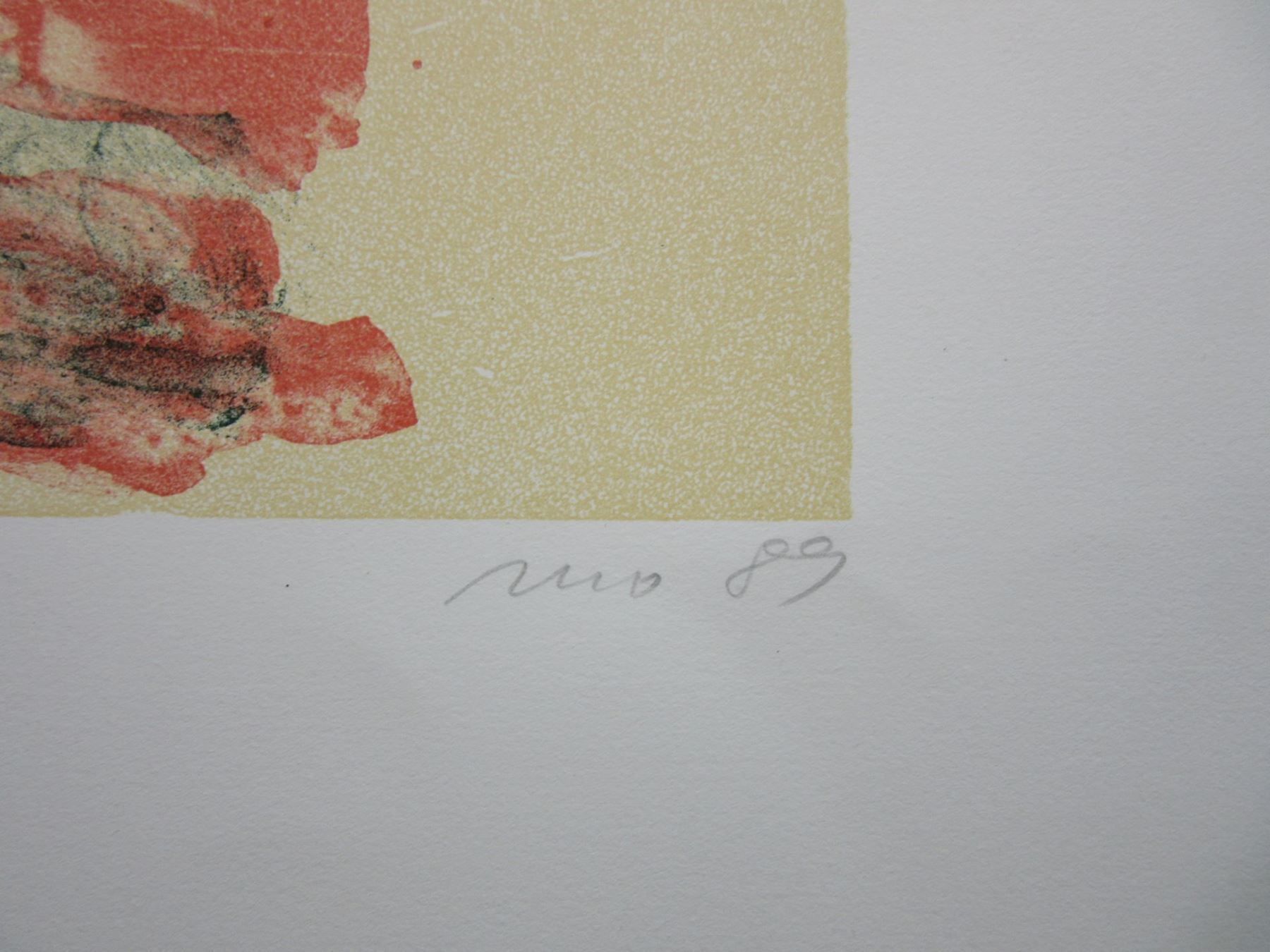 Grafica & Litografie: KÜNSTLER ? LITHOGRAPHIE – Usato da Gersau venduto da grafik-kunst 2