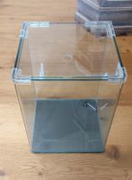 Nano Aquarium Cube mit LED Beleuchtung gebraucht L24 B24 H30