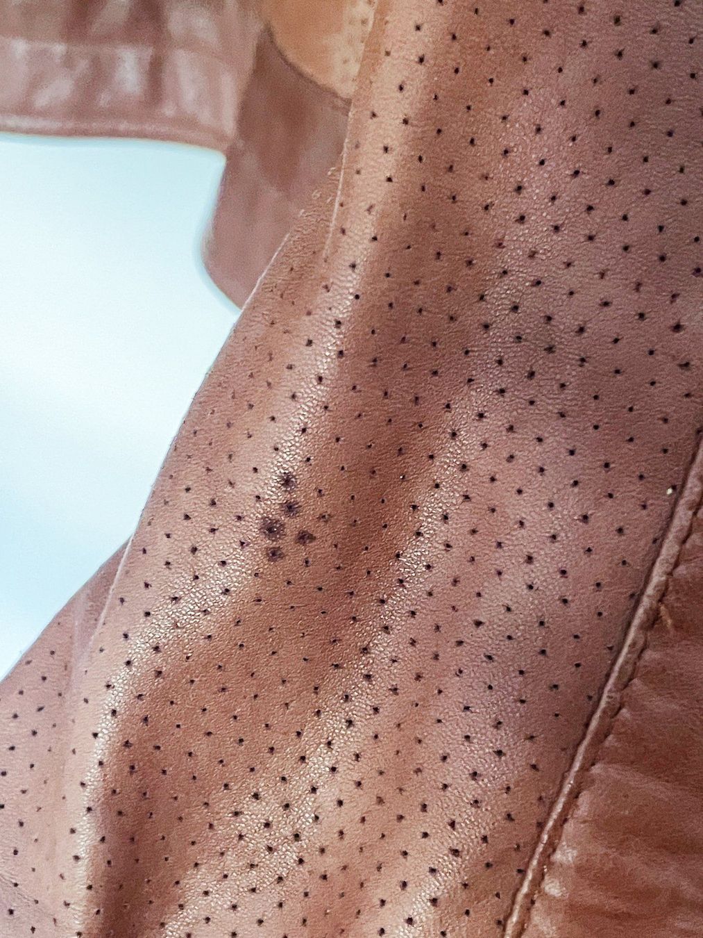 Mango Giacche: Mango Lederjacke Grösse L – Usato da Adliswil venduto da Ch_Mei 5