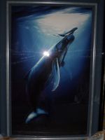 Orig. Wyland OIL-Bild Walmutter mit Walbaby (Kalb)