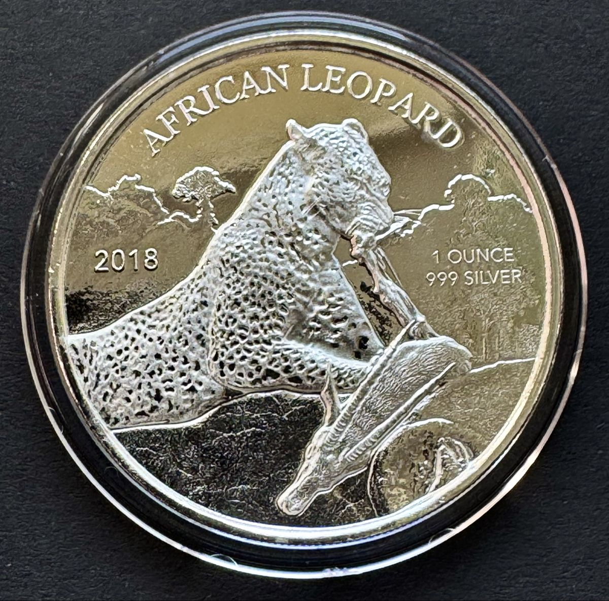 Tutti le monete: 1 OZ- Ghana African Leopard 2018 – Usato da Zürich venduto da Circle-9-Coins