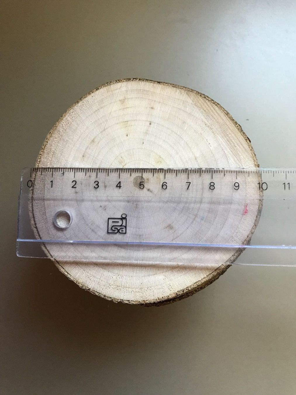 Holzartikel: 6 Glasuntersetzer – Neu und originalverpackt aus Buttwil von mina010 5