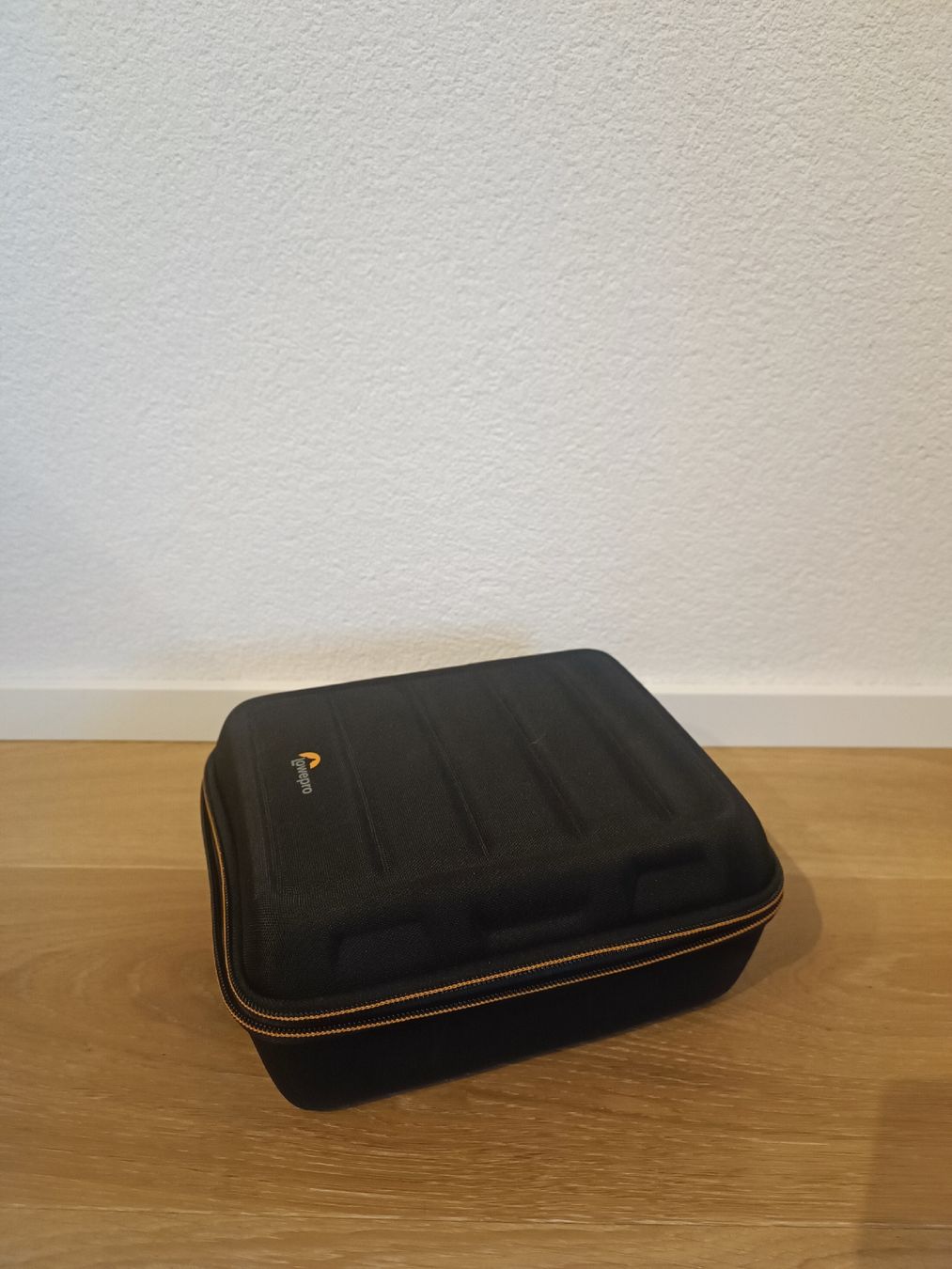 Lowepro Borse: Lowepro Hardcase – Usato da Oeschgen venduto da timeout_helvetia