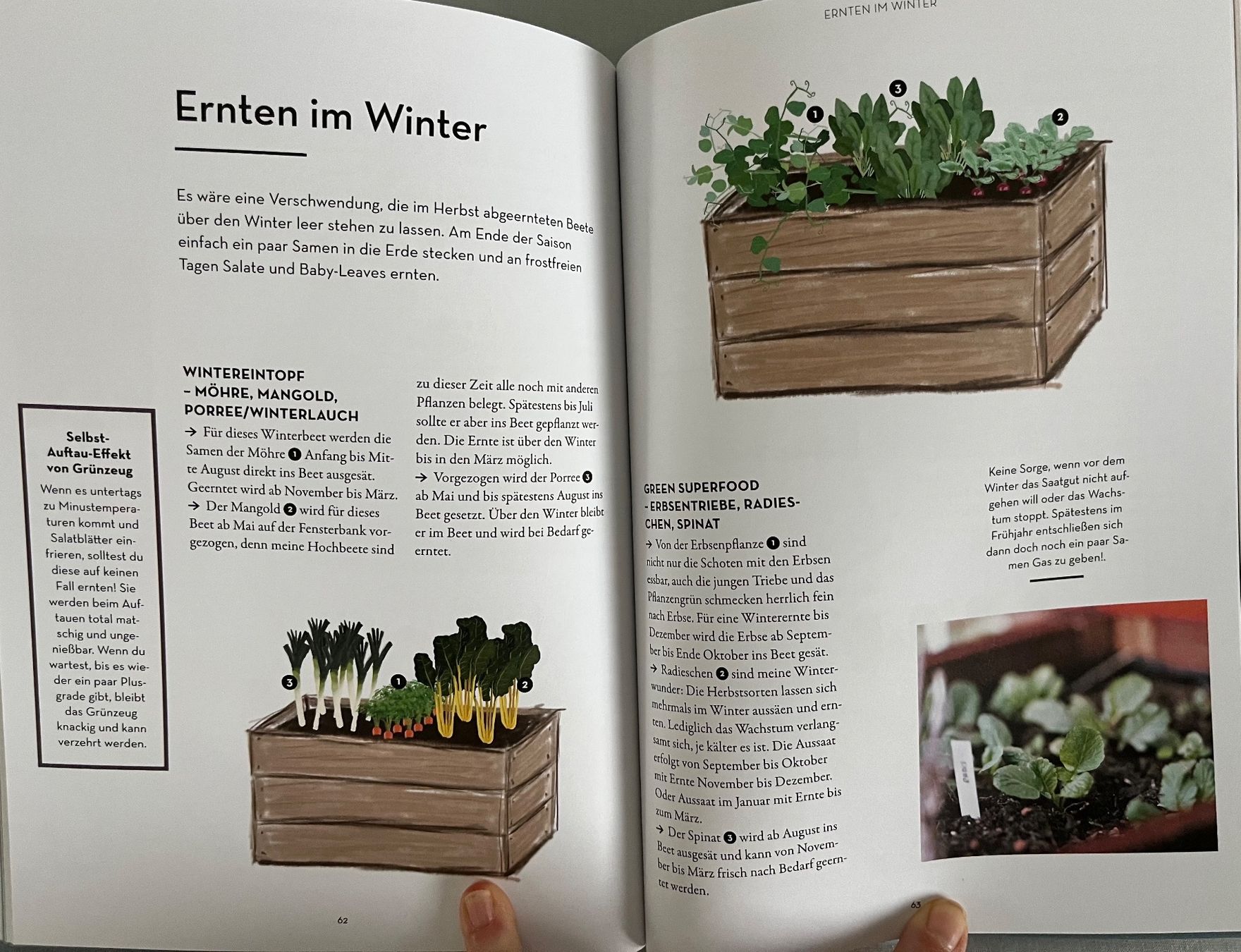 Libri: Mein Balkon-Hochbeet – Usato da Le Crêt-p-Semsales venduto da staglione69 5