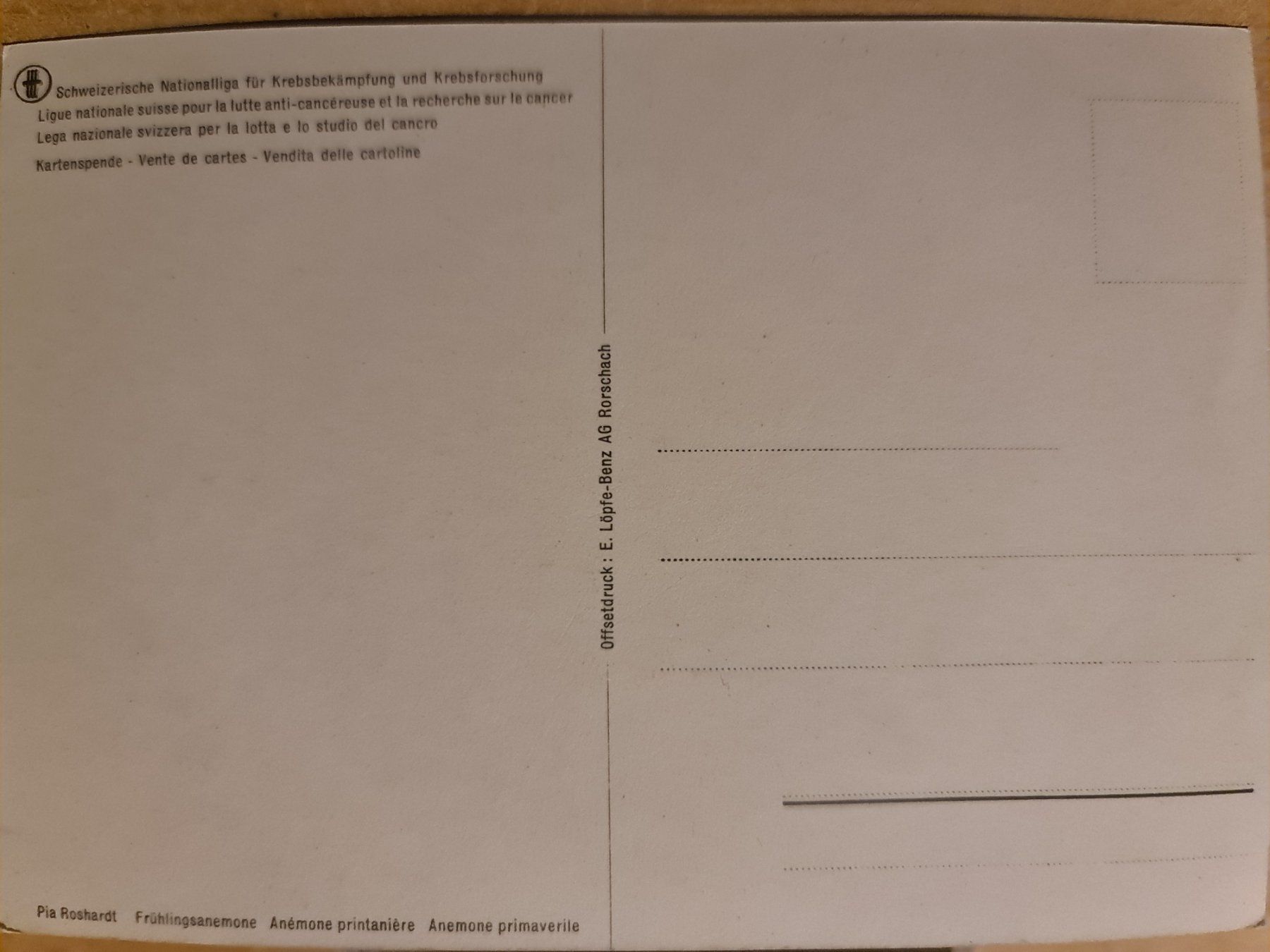 Ansichtskarten: Ansichtskarte Frühlingsanemone Postkarte, ungebraucht – Neu (gemäss Beschreibung) aus Dintikon von Vexi 1