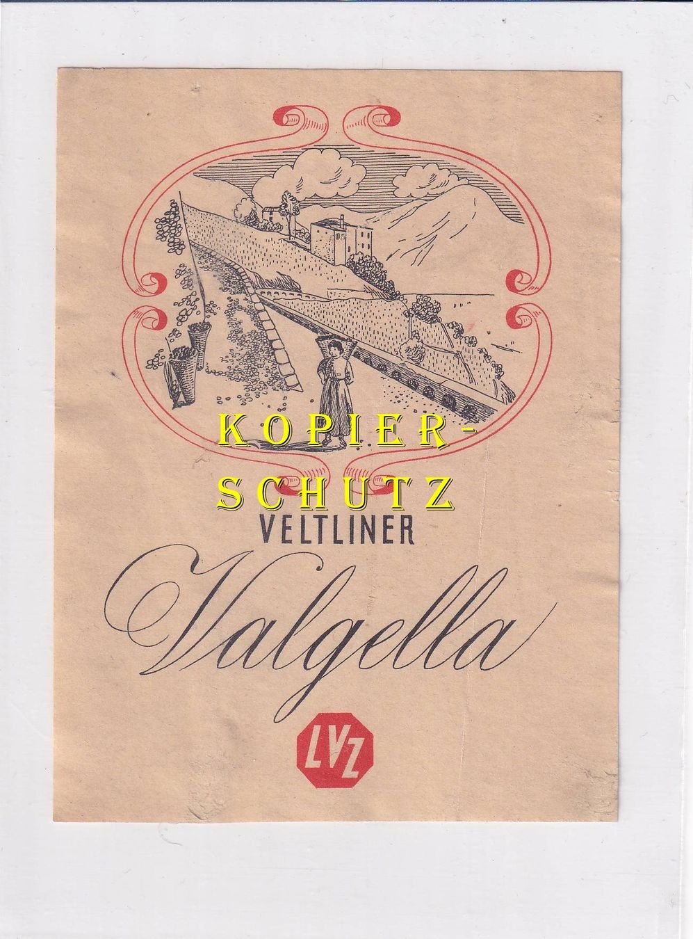Carta: Etikette - Veltliner Valgella (LVZ) /bd – Usato da Hombrechtikon venduto da Rudolf07